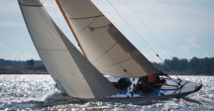 45914064085_1d2661d147_o